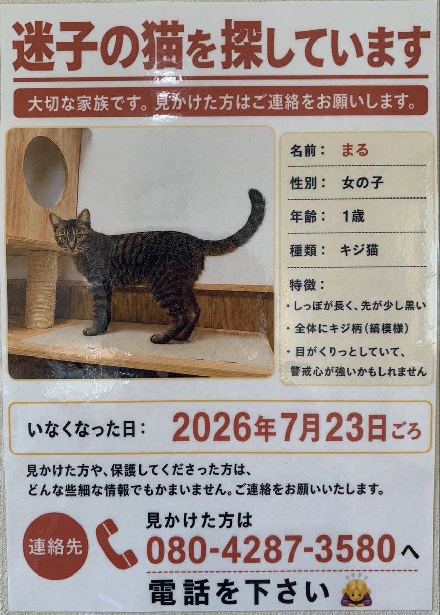 necoutatane's tweet photo. ~拡散希望~

キジ猫を探しています！
自宅周辺に捕獲器を4つ仕掛け
懸命に探していますがまだ見つかっていません😿

場所　宮崎市生目南中学校近く
迷子になった日　7月23日
キジ猫　女の子 1歳
名前　まるちゃん

見かけた方は下記まで至急連絡ください🙇‍♀️

080-4287-3580 https://t.co/tGAZIC90ZL