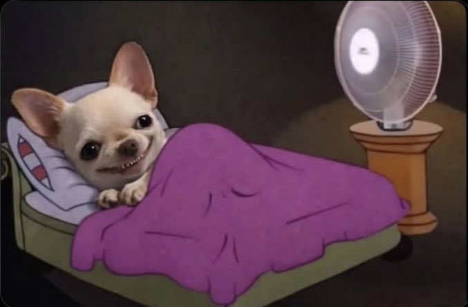nyenyeispretty's tweet photo. Me looking at someone getting ready at 6am while im comfy in bed. https://t.co/Q4mCnNoliN
