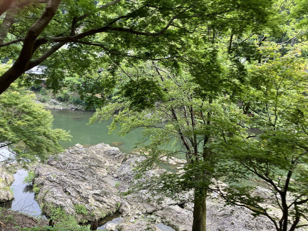 onarimonjh's tweet photo. 夏季学園２日目12
トロッコ列車から見える景色は素晴らしいものでした✨
たくさん歓声が上がっていました👌
亀岡駅で下車して、貸切バスで宿舎に向かいます🚍
暑い中でしたが、体調を崩している生徒はいません😃 https://t.co/35p4P0rlY4