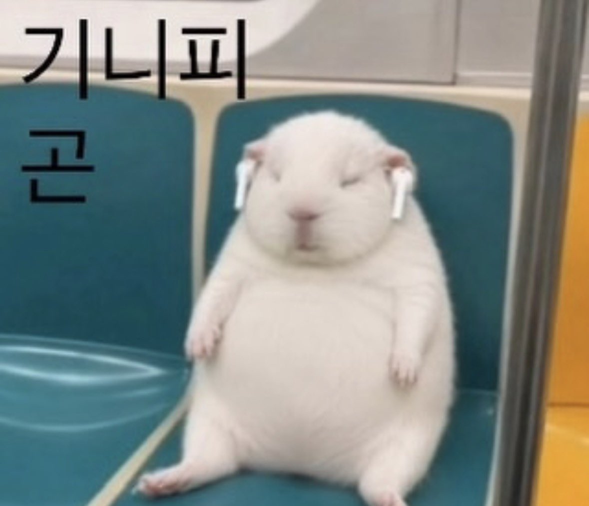 ohsamx15's tweet photo. 트겹친소 
 
2n 031 섭기반스위치  /  
겜 좋아하니깐 같이해주세요 🥺 
낯 가리는데 친해지면 재밌어요(?) 
교류하는거 좋아하니깐 많이 와주세요🙏 https://t.co/KCyu3eaYE9