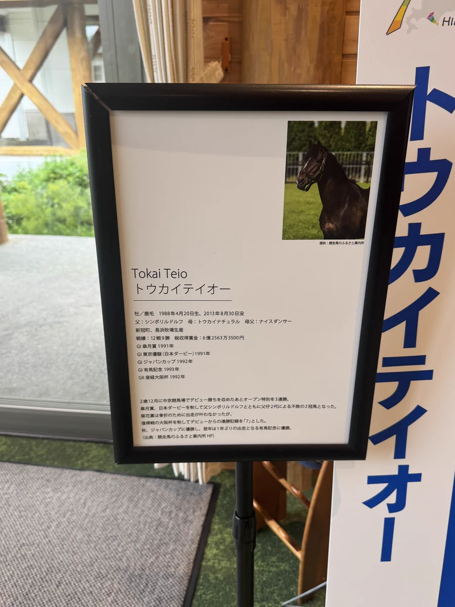 トウカイテイオー　有馬記念優勝パネル NaO on X: 