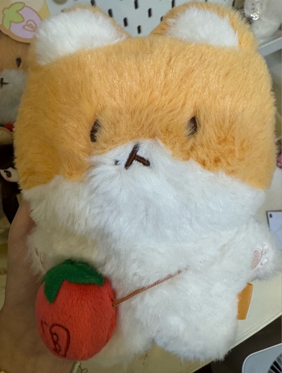 KIMJUNCT01's tweet photo. ปล่อยน้องteolaegi 20cm ไม่มีแพ็คเกจ,ป้ายห้อยนะคะแต่สภาพน้องใหม่มากๆค่ะ ปล่อย1200บาท สนใจdmขอดูรูปเพิ่มเติมได้ค่ะ #ตลาดนัดexo #ตลาดนัดเอ็กโซ #ตุ๊กตาexo #ตลาดนัดbaekhyun https://t.co/jXR5QCZBEy