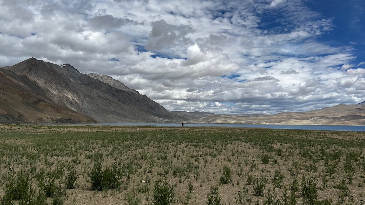 phalgooon's tweet photo. rode 1000km solo over 4 days on an unnecessarily heavy Himalayan in eastern ladakh 

once done with the ride, I understood why Leh has more bike rental stores than restaurants 

top pix based on IG likes https://t.co/aVJ6BixwYc