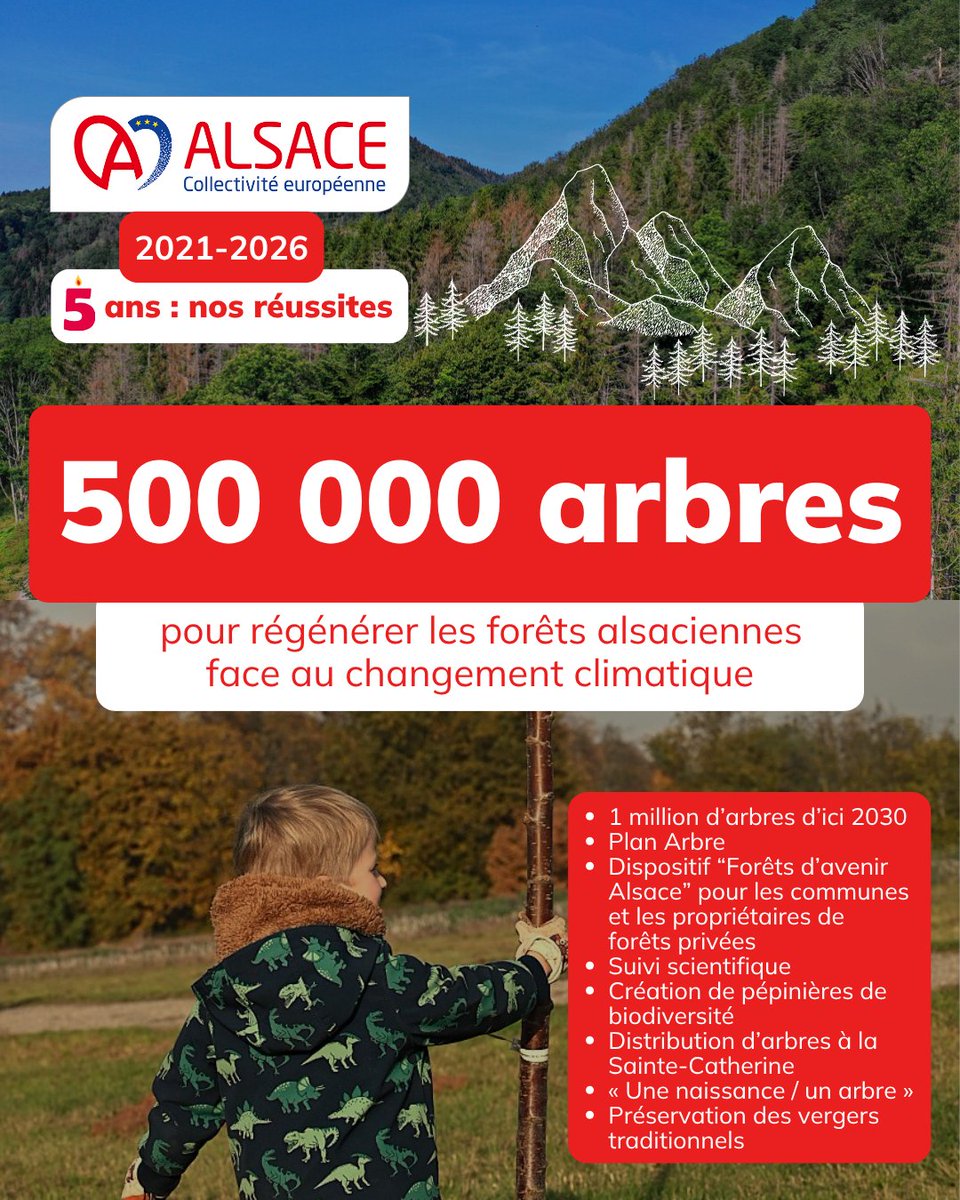 F_Bierry's tweet photo. 🌳#3 [5 ANS] 5 ans à vos côtés ! Cet été, je vous détaille toutes #NosRéussites pour améliorer la vie quotidienne des Alsaciennes et Alsaciens, dans tous nos champs d'action. 
✅En 5 ans, nous avons mis l'#arbre au cœur de nos politiques environnementales.
#5ansCeA #Alsace #forêt https://t.co/37PSBjjx9x