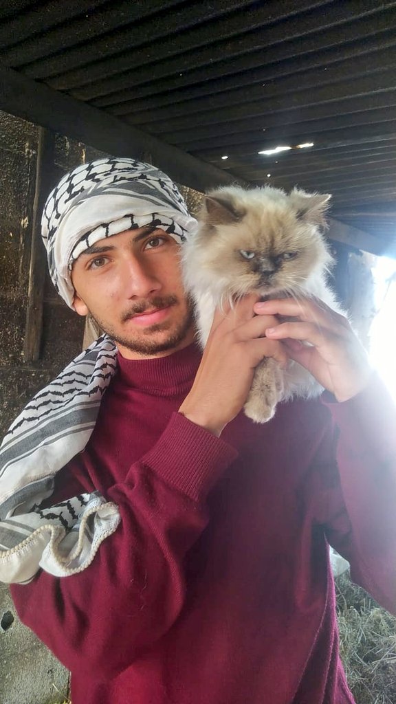 abod in Gaza🇵🇸 tweet media
