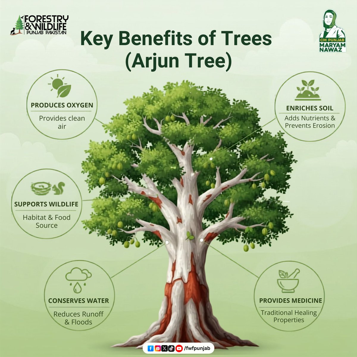 fwfpunjabpk's tweet photo. Key Benefits of Trees (Arjun Tree)
.
.
.
#arjuntree #TreeBenefits #planttrees #fwfpunjab #GovtOfPunjab https://t.co/zxSI3Sv1pu