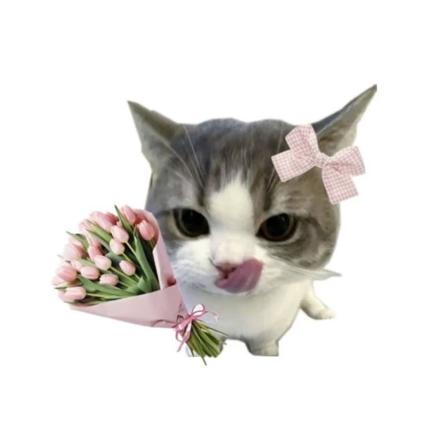 aumaimstore05's tweet photo. ﾟ🍥 𓈒 dis 𓂂𓂂 ney + 🎀💭

🌸 ˒˒ 1 Day 20 | 7 Day 40 ☁️
       ♡ 30 Day 80 ᵎ👛⁺◦

𓏳 รีทวิต + แคปส่งในไลน์ 👚
🏩⌇Ask ➜ https://t.co/cXAiMQRSVg ✱.

#Disney #หารDisney #หารดิสนีย์ #ดิสนีย์พลัส  #หารdisneyราคาถูก #หารdisneyplus https://t.co/OGtvY8mALC
