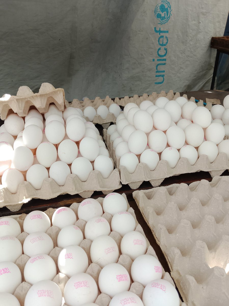 ywsfbnat0's tweet photo. Rosa doesn't ask for toys or gifts all she wants today is an egg It pains me that Ican't fulfill my child's simplest wish If you can help us, even with a small donation or by sharing our story,you might be able to give Rosa a meal that will gladden her little heart Thank you https://t.co/XSbrdF9Lfr
