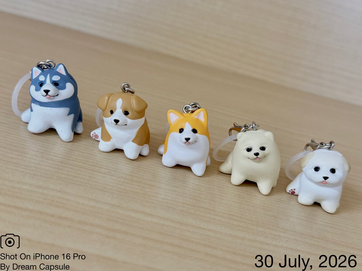 dreamcapsuleCEO's tweet photo. 🌟新入荷ガチャ商品プレゼントCP🌟

子犬がきゅるんと見つめてくる...🥹💕
「もっちりパピーのめじるしマスコット」

フォロー&amp;RP(RT)していただいた方の中から抽選で2名様に全5種セットをプレゼント🎁
ドリカプへの入荷日とキャンペーン詳細は↓

#ドリームカプセル #ガチャ専門店 https://t.co/4E2YYEc8YV