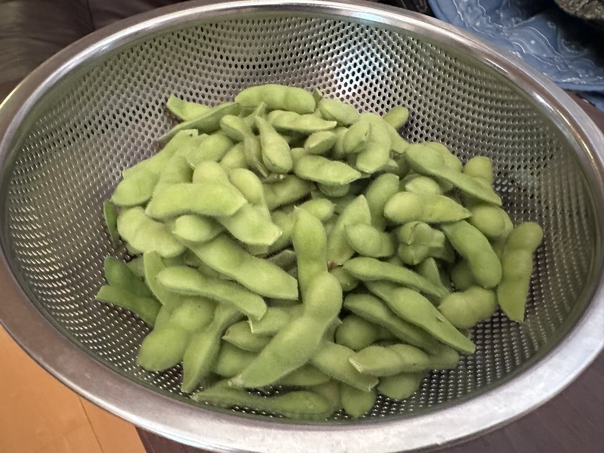 NATARIA0123's tweet photo. 今季初の自家製枝豆収穫。
2食分しかできんかったが、豆自体が甘く美味。

明日から秋どれの枝豆を再度植えて楽しもう https://t.co/L5Q7ig2kLm