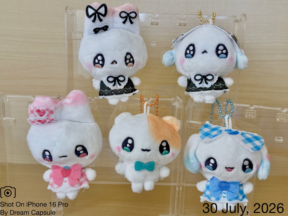 dreamcapsuleCEO's tweet photo. 🌟新入荷ガチャ商品プレゼントCP🌟

さらふわな触り心地が気持ちいい🪄✨
「まじかるベリーベリー ぬいぐるみ」

フォロー&amp;RP(RT)していただいた方の中から抽選で2名様に全5種セットをプレゼント🎁
ドリカプへの入荷日とキャンペーン詳細は↓

#ドリームカプセル #ガチャ専門店 https://t.co/N5RFmJWe1N
