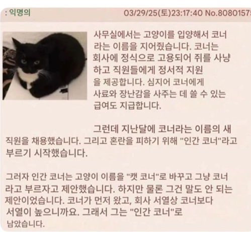 thinkingtree413's tweet photo. 회사에 동명이인이 들어왔다. https://t.co/37pteXjvzH