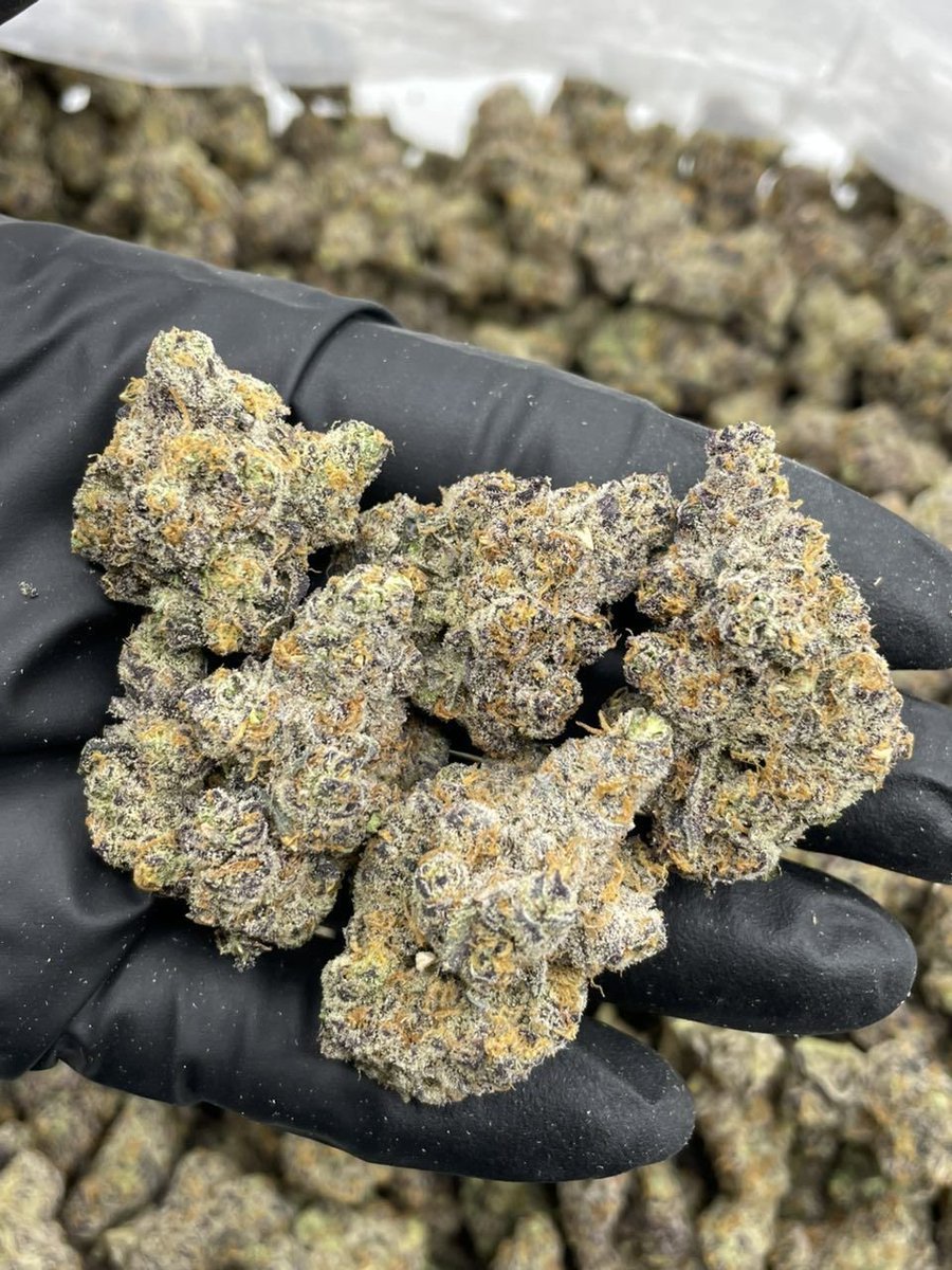 JHulkerman43636's tweet photo. How much does a pound cost in your area???
Order here 👇 
👉Telegram: https://t.co/4MvGFogDKj

👉Potato chat: https://t.co/wBNg83GZoI https://t.co/m0koKONpzw