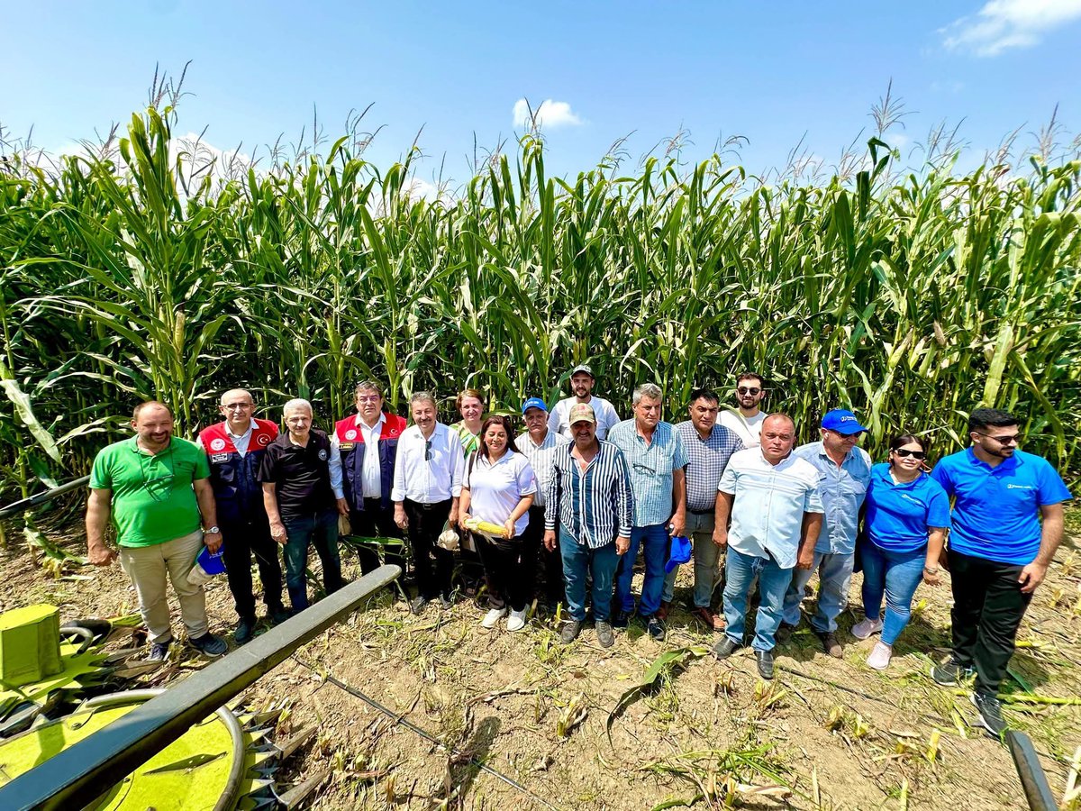 Tarsustarimi's tweet photo. 🌽Çiftçimiz Yeniliklerle Tanışıyor, Verim ve Kalite Artıyor. 🌾

İklimi Oku Silajlık Mısır Koru Projesi ile;

✅ Besleme değeri yüksek mısır silajı elde etmek,
✅ Hayvanların kaba yem ihtiyaçlarını karşılamak,
✅ Mısır silaj yapımını yaygınlaştırmak hedeflenmektedir. https://t.co/KBWWOY7FzE