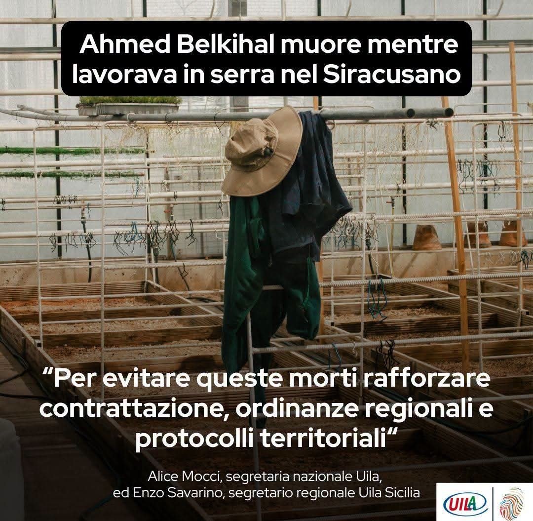mich_ingrassia's tweet photo. Bracciante morto in una serra a Pachino. Va rafforzata la contrattazione - dichiarano Alice Mocci @UilaNazionale ed Enzo Saverino Uila #Sicilia - per "favorire un'organizzazione del lavoro che coniughi la tutela dei lavoratori con le necessità produttive".
https://t.co/diVlsvkQYg https://t.co/4Z3VhQDyns