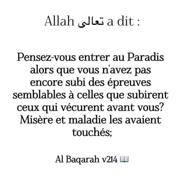 Ben_Baharadine's tweet photo. https://t.co/fttkqqB0ln