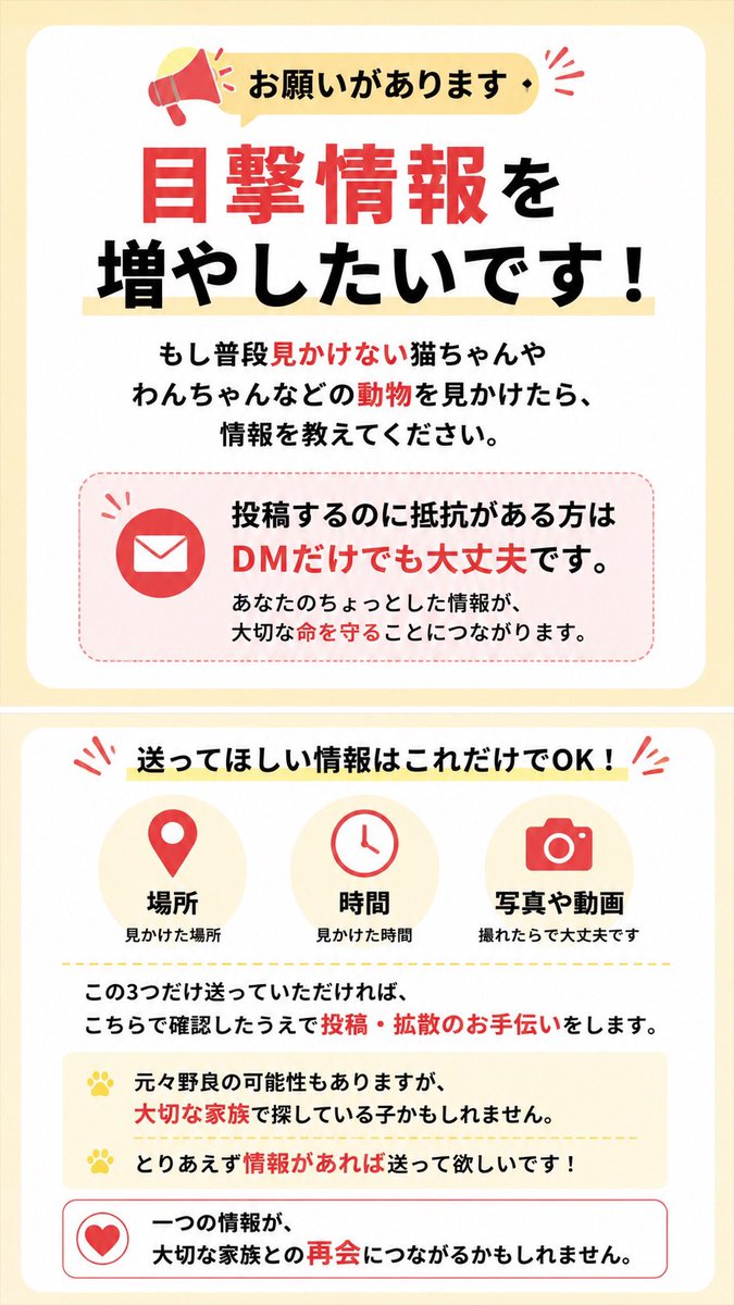 maigo_pet00's tweet photo. ⚠️ちょっと待って⚠️
今だけペットいない方にもお願いです！
脱走してしまったペットの目撃情報が欲しいです！

もし普段見かけない猫ちゃんやわんちゃんを見かけたら、投稿するのに抵抗がある方はDMだけでも大丈夫です。

📍場所
🕒時間
📷写真や動画（撮れたらで大丈夫です）

この3つだけ送っていただければ、こちらで確認したうえで投稿・拡散のお手伝いをします。

「野良の子かな？」と思っても、実は大切な家族が必死に探している迷子の子かもしれません。

もちろん、すべてが迷子というわけではありません。
だからこそ、情報が集まる場所があることに意味があると思っています。

「もしかしたら…」と思ったら、その情報を送ってください。

一つのDMが、大切な家族との再会につながるかもしれません。🐾

まだまだ現地は大変かもしれませんが、危険のない範囲でご協力お願いします！