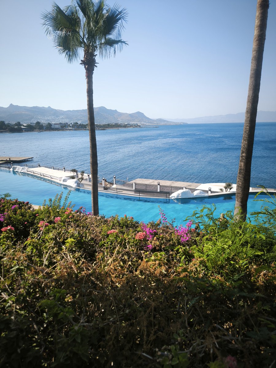 thyponic78's tweet photo. Hayat yaşamasını bilene mi, parası olanı mı güzel?
#tatil #Bodrum https://t.co/nVyEWoNy4Z