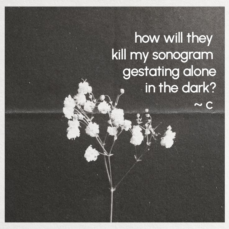 cforChetna's tweet photo. https://t.co/LVofSLkML3
Read my brand new poem ❤️ 

#poetry #poems #englishpoems #gothic #BookCommunity #ttpd #taylorswift #x #trending #xpoetry https://t.co/JlGtpm0ROM