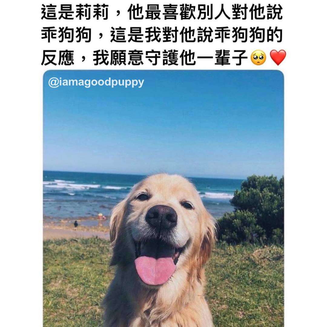 iamagoodpuinns's tweet photo. 直接沒ㄌ

👇🏻👇🏻👇🏻更多狗狗在這邊
@puppy.dailyyy
@theworldnice88

#狗 #小狗 #犬 #狗狗 #狗狗日常 #汪星人 #汪星人日常 #汪
#迷因 #梗圖 #迷因梗 #迷因梗圖 #memes https://t.co/Sp0ZgRguzT