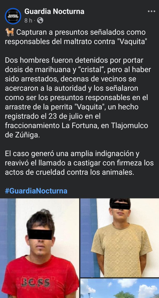 Almodóvar🇲🇽♥️⚘️ tweet media