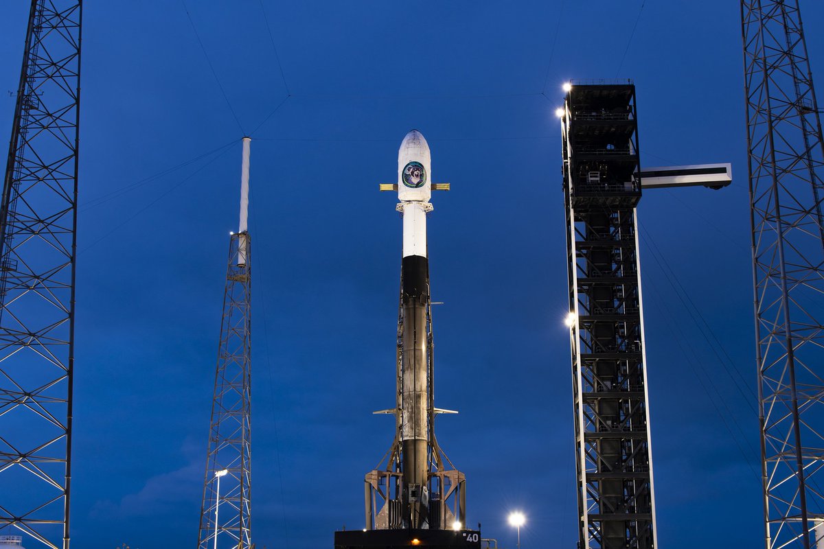 xgl4807's tweet photo. @SpaceX @NRO_gov @USSF_SSC The ferret belongs to the heights, yet you slay it unjustly！ https://t.co/zLHCY2z58K