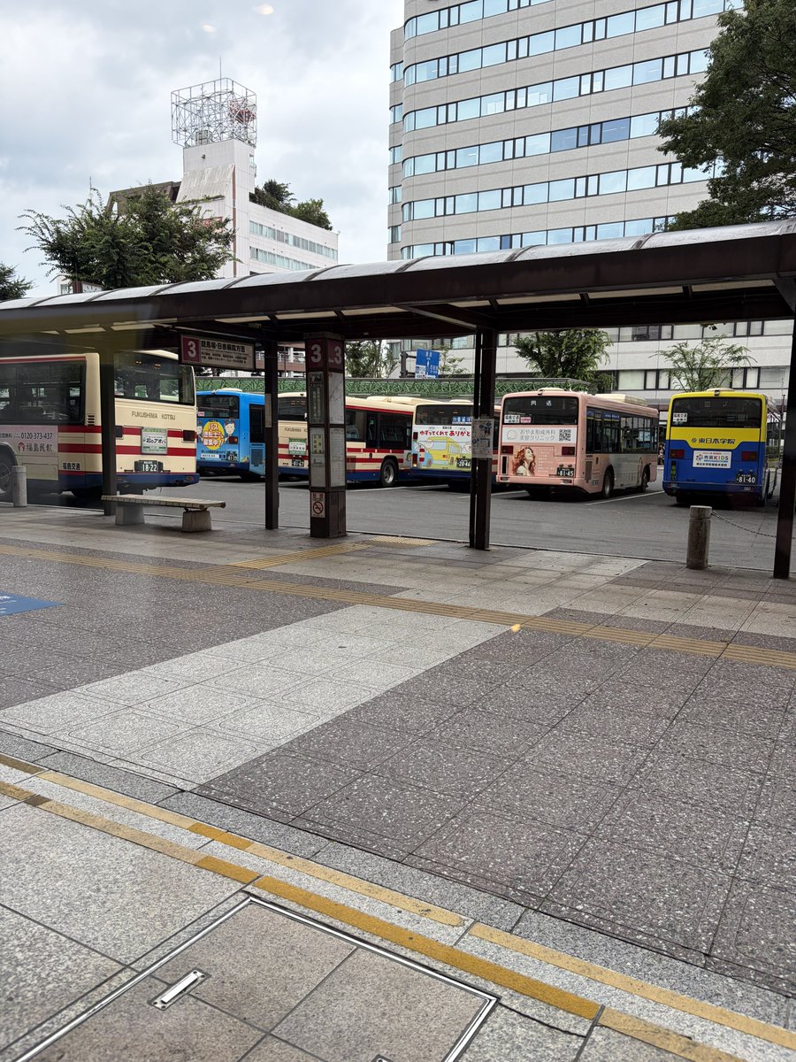 hama_e1682's tweet photo. 鎌倉パスタの窓側、バス見ながら食べれるのは最高だけど通行人の視線が痛い笑 https://t.co/80NyUREviq