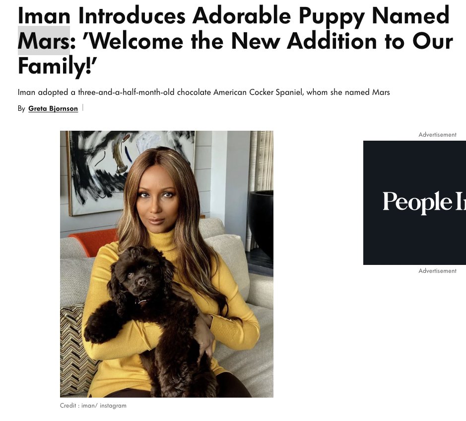 Zeeko__Dev's tweet photo. THERES LITERALLY A FAMOUS DOG THATS VIRAL CALLED "MARS" 🤣🤣

Mars is a Chocolate American Cocker Spaniel and its the most adorable little thing ever

Check Mars out 

https://t.co/FfU7wtXWzC

https://t.co/HAVgB4c7dE https://t.co/FmFE0JhDm1