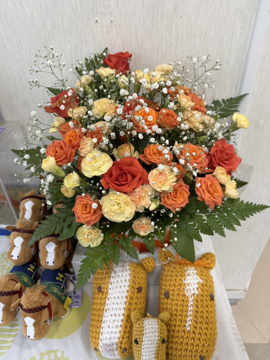 aeru_joba's tweet photo. お客様からオウケン宛に素敵なお花をいただきました💐❤️

馬たちへのお守りやスタッフへの差し入れ等、いつも本当にありがとうございます。

皆様からの応援やお気持ちが、私たちにとって大きな励みになっています。

なお、お気持ちだけで十分ですので、どうぞお気遣いのないようお願いいたします😊 https://t.co/Z2oLcrZDgM