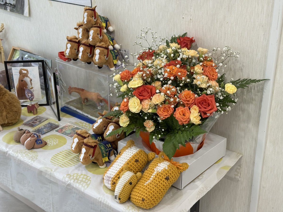 aeru_joba's tweet photo. お客様からオウケン宛に素敵なお花をいただきました💐❤️

馬たちへのお守りやスタッフへの差し入れ等、いつも本当にありがとうございます。

皆様からの応援やお気持ちが、私たちにとって大きな励みになっています。

なお、お気持ちだけで十分ですので、どうぞお気遣いのないようお願いいたします😊 https://t.co/Z2oLcrZDgM