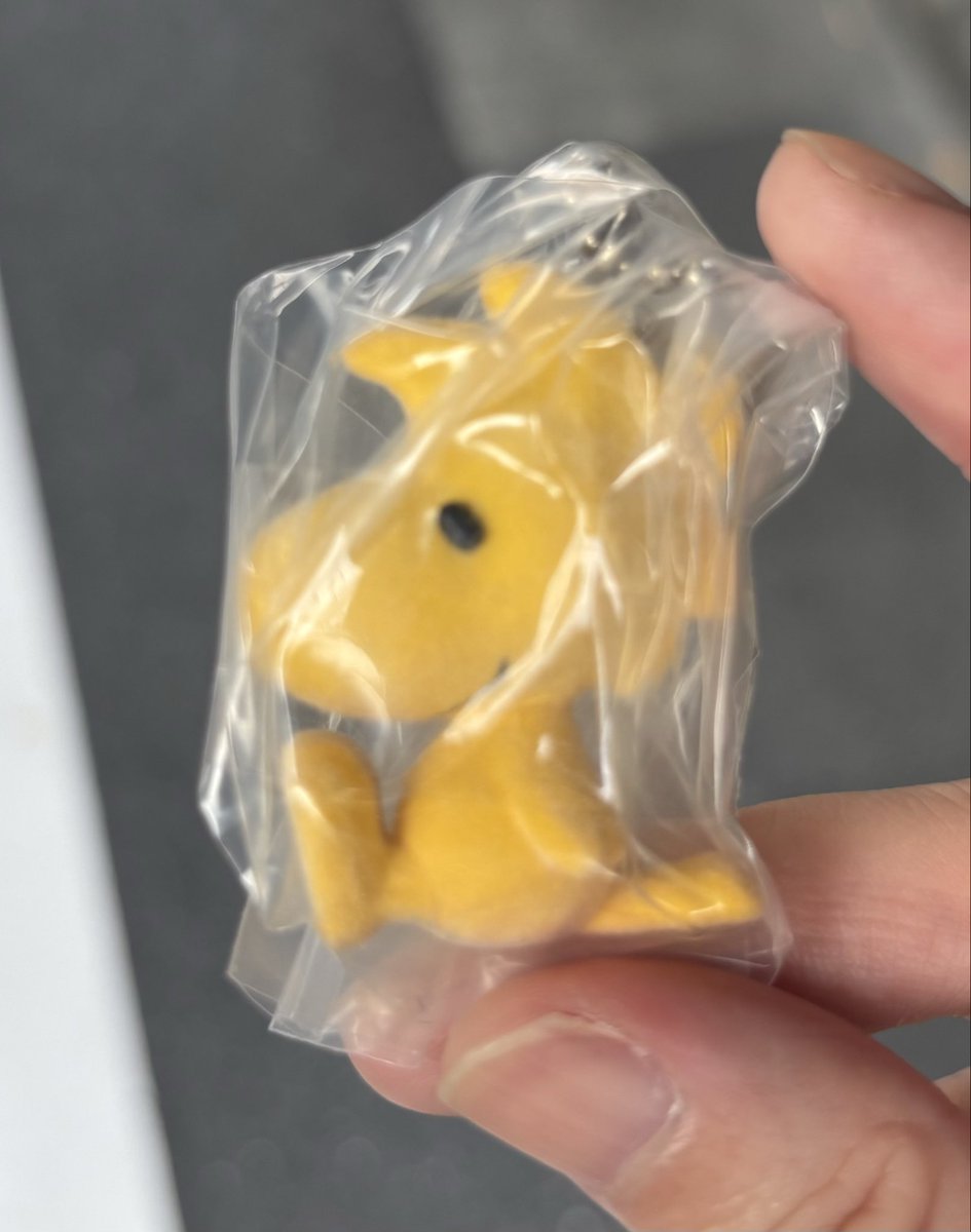 M03240824's tweet photo. スヌーピー　フロッキー マスコットチャーム

《譲》ウッドストック

《求》スヌーピーB

都内手渡し（池袋、北千住）
お気軽にお声掛けください🙇‍♀️ https://t.co/td0gok7gZh