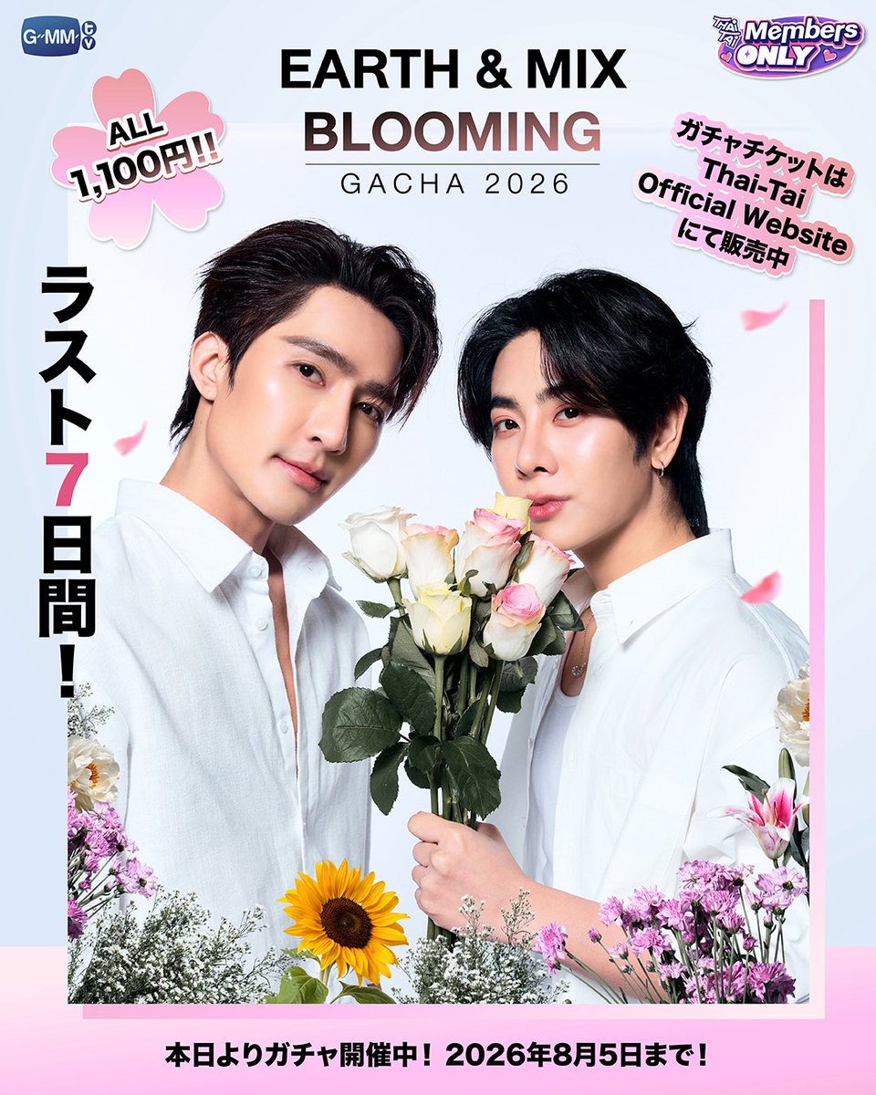 GMMTV's tweet photo. 残りあと7日！EARTH & MIX BLOOMING GACHA 2026🥰✨

思わず手に入れたくなるアイテムが盛りだくさん

📍 2人とのCall Sign
📍 サイン入りポラロイド
📍 ここでしか見られないExclusive Photo
📍 心がときめくVoice Message

1回1,100円で購入できます

*全4種類の商品のうち、いずれか1点をお届けします。各商品は同額の1,100円です。

販売期間は2026年7月22日〜8月5日まで！

Thai-Tai Official会員限定の特典です
今すぐ登録しよう…

👉 https://t.co/b6khtPp4mD

この機会を逃さないで！今すぐチェックしよう！！！

————————————

7 วันสุดท้ายแล้วกับ EARTH & MIX BLOOMING GACHA 2026🥰✨
 
กับสินค้ามากมายที่คุณต้องอยากได้ไปครอบครอง ไม่ว่าจะเป็น...
📍 Call Sign กับทั้งสองคน
📍 Polaroid พร้อมลายเซ็น
📍 Exclusive Photo ที่คุณไม่เคยเห็นที่ไหนมาก่อน
📍 Voice Message ที่จะทำให้คุณชุ่มฉ่ำหัวใจ
 
ราคาเพียง 1,100 เยน ต่อการซื้อ 1 ครั้ง
 
*ท่านจะได้รับ 1 สินค้าจากทั้งหมด 4 รายการ โดยแต่ละรายการมีมูลค่าเท่ากัน คือ 1,100 Yen
 
📢 กดกันได้แล้วตั้งแต่วันนี้ถึงวันที่ 5 August 2026
 
สิทธิพิเศษสำหรับสมาชิก Thai-Tai Official เท่านั้น
👉  https://t.co/v5QQIL2sqW
 
บอกเลยนะว่าพลาดแล้วพลาดเลย อย่ารอช้ารีบไปกดกันเลย!!! 

#EarthMix @Earth_Pirapat @wixxiws 
#ThaiTai 
#GMMTV