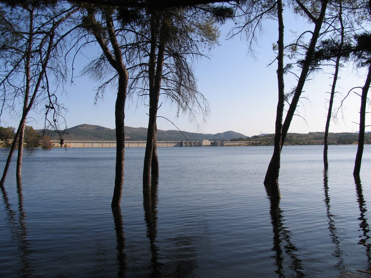 CHJucar's tweet photo. ⭕️Los estudios recomiendan tomar medidas de control de la biomasa en los embalses de Beniarrés, Bellús y l'Albufera.

📄Consulta los informes completos en: https://t.co/DXQeICKQQ0 https://t.co/IOw47EdJgX