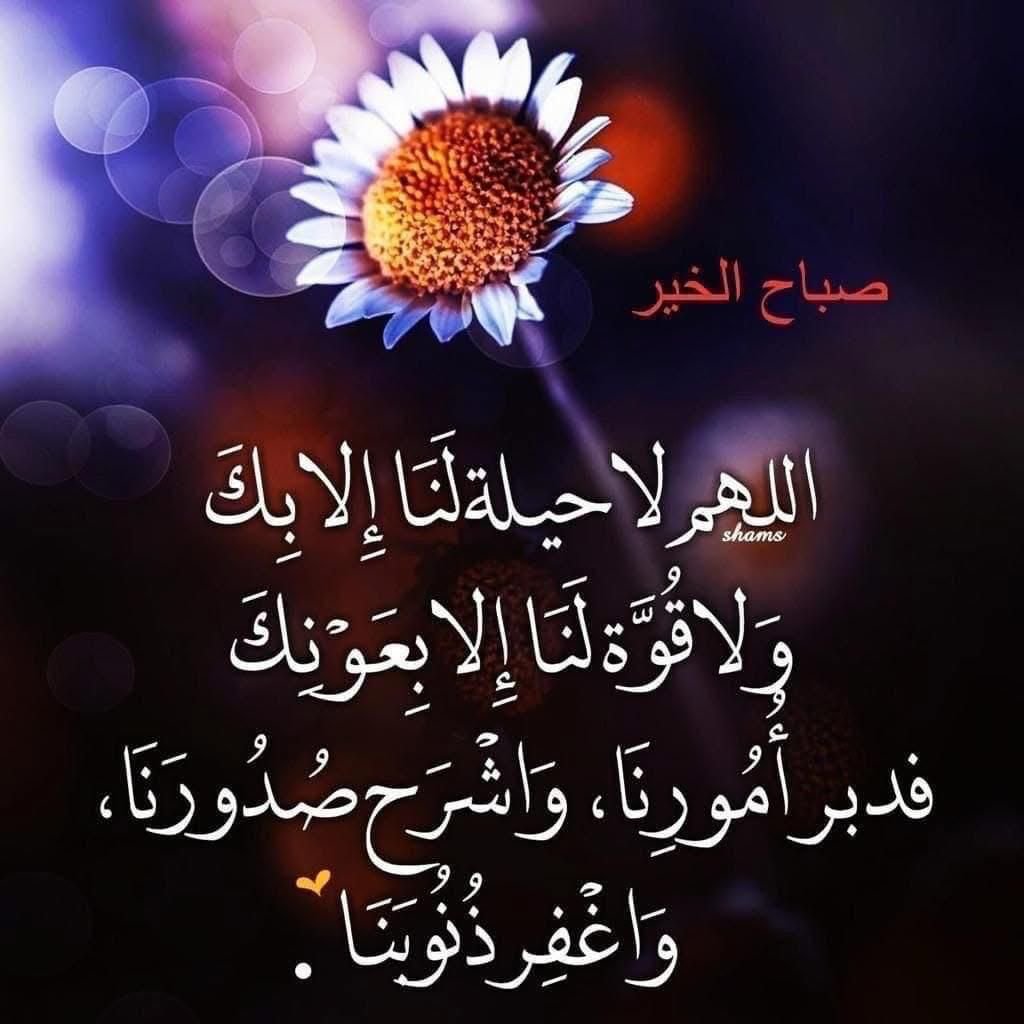 055_7335's tweet photo. @belalhannout066 https://t.co/SOLO4NF7l4