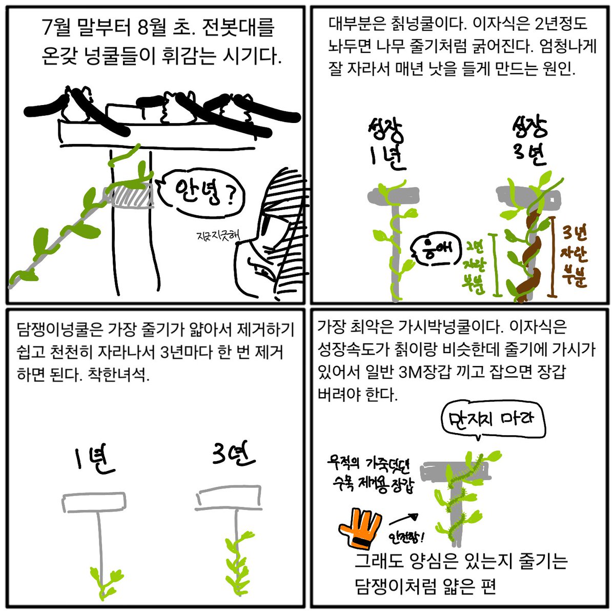 Draw_DDil's tweet photo. 넝쿨 이야기 https://t.co/QhcWVKp47l