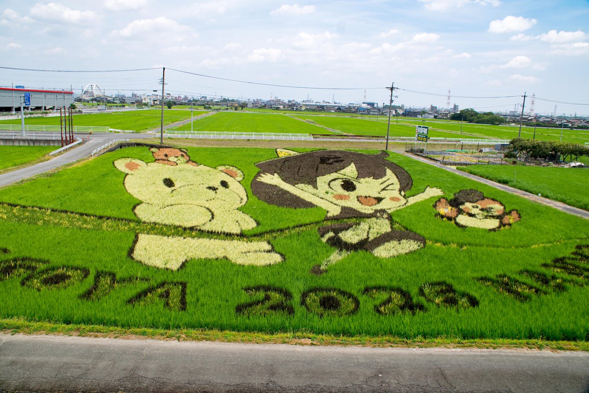 yasuath_23's tweet photo. ＃田んぼアート南陽　　　　　　　　　　　
　　田んぼアート南陽
　　　　　　行ってきた。
　　おススメの時間は
　　　午前11時～12時30分位。
　なぜかというと・・
　　逆光じゃないから。
　　　　8月までかな・・(*´Д｀) https://t.co/NOCDTJm5Zb