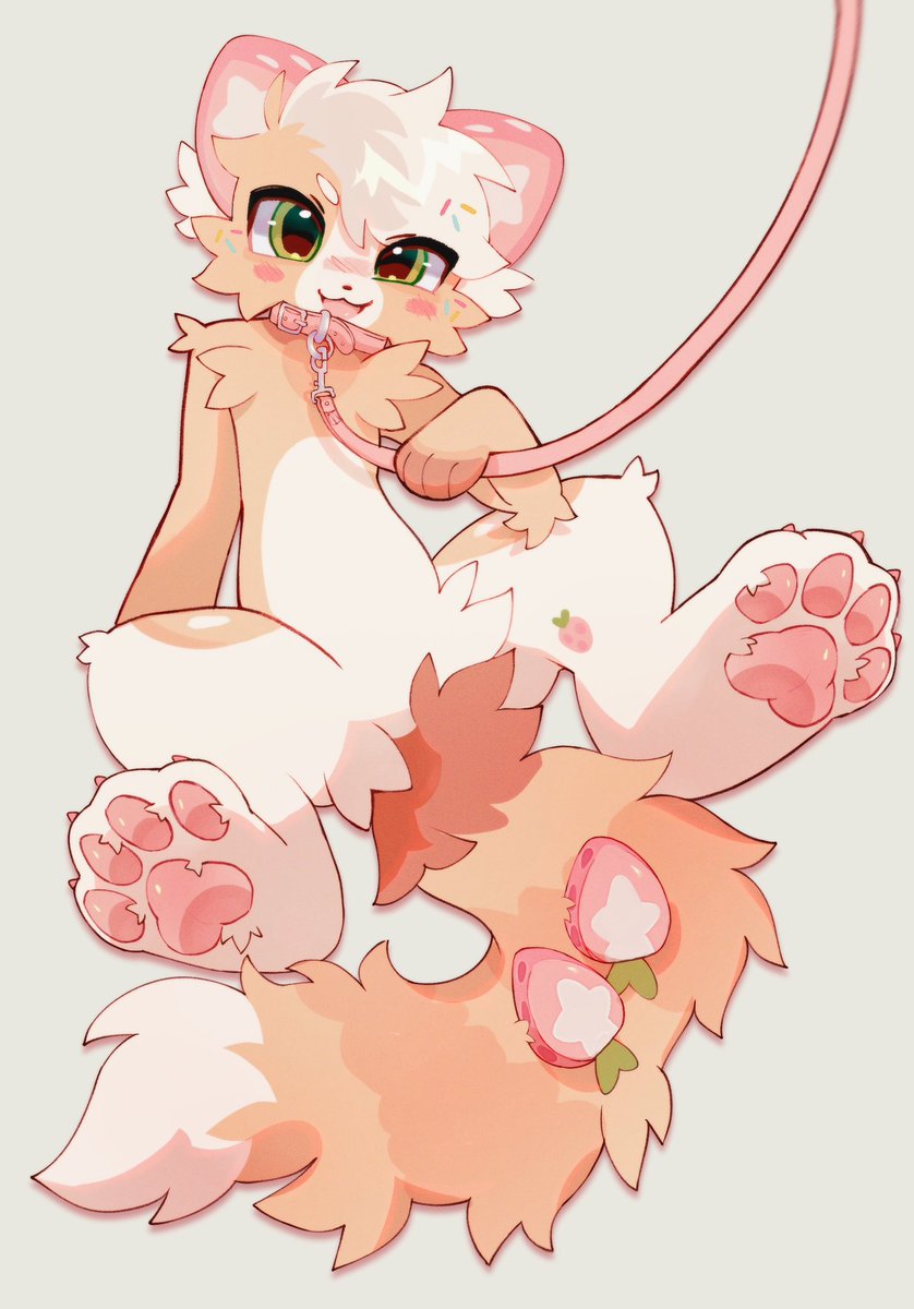 toyferret's tweet photo. Hai :3 🍓 https://t.co/l4yEVHwPug