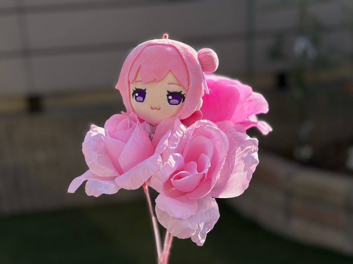 taro7005's tweet photo. ドロ花🌸 https://t.co/4zKbInFNqm