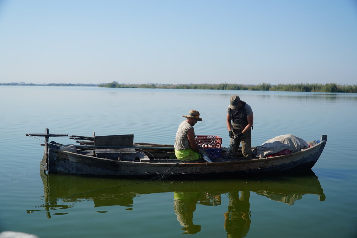 CHJucar's tweet photo. 🐟Los estudios sobre poblaciones de peces que hemos realizado en los últimos años en 29 embalses y el lago de l'Albufera han proporcionado información básica para la gestión de la calidad de las aguas y los ecosistemas asociados.

Te contamos algunos datos interesantes 🧵👇 https://t.co/LrDmYqnN4A