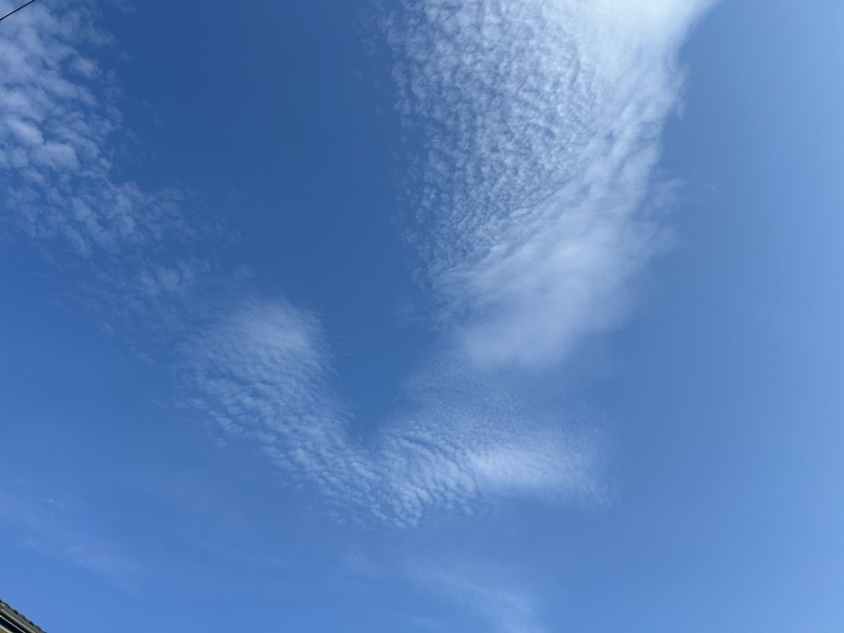 usapenchan's tweet photo. 暑いけど積乱雲は見当たらないかな

#イマソラ　#イマクモ https://t.co/TZnRV41y3v