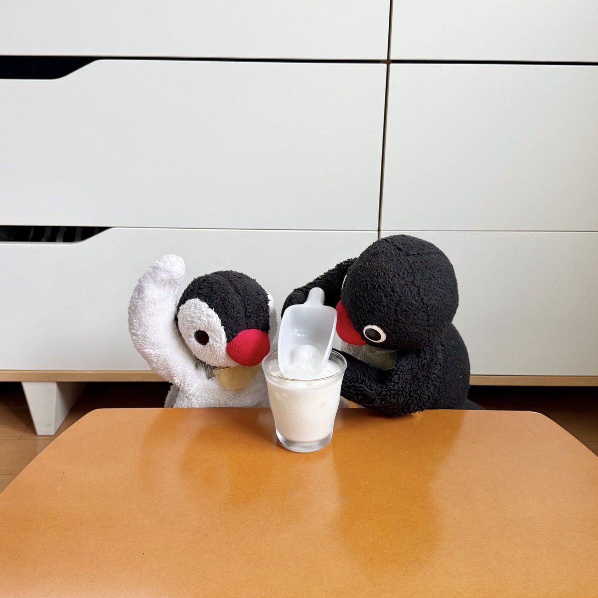 pingmyping's tweet photo. 🐧🧊 https://t.co/5fSdv4cfBp