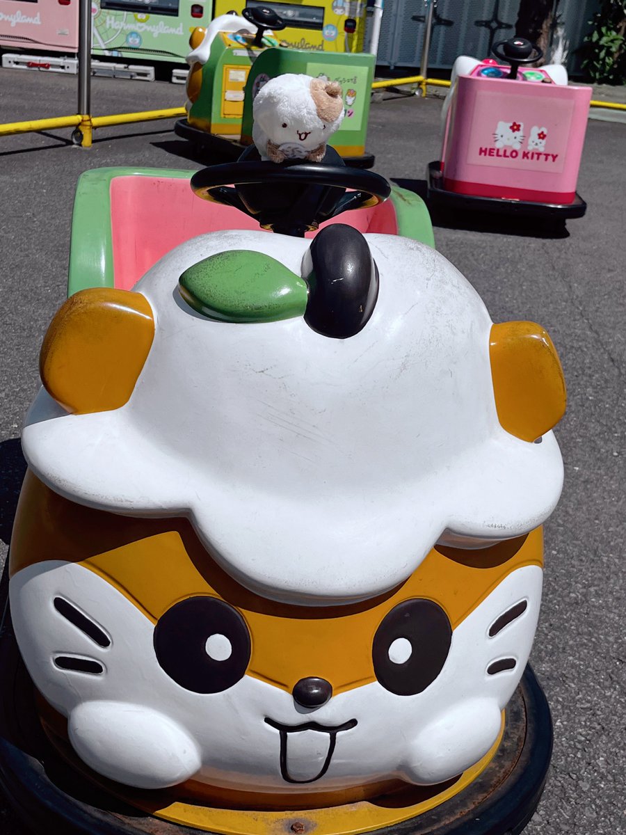 himari_sama315's tweet photo. 私がぬい活してるの見て
「こんなに可愛がってもらえて、大切にしてもらえて、ずっと一緒にいれるマフィンが羨ましい」
って呟くM男があまりに健気で笑った。
生まれ変わったらハムスターになれるように頑張ろうね。 https://t.co/dIb1BzpWC9