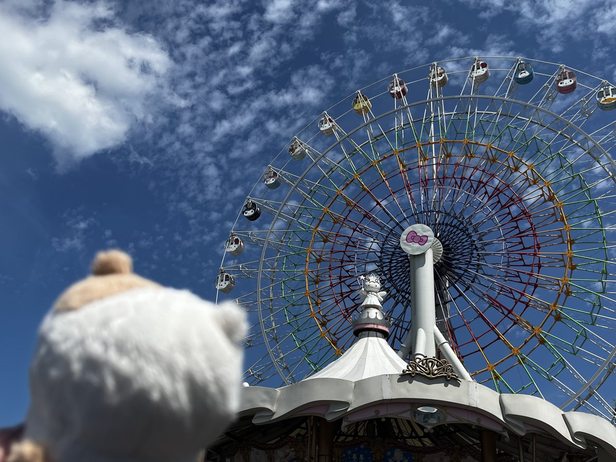 himari_sama315's tweet photo. 私がぬい活してるの見て
「こんなに可愛がってもらえて、大切にしてもらえて、ずっと一緒にいれるマフィンが羨ましい」
って呟くM男があまりに健気で笑った。
生まれ変わったらハムスターになれるように頑張ろうね。 https://t.co/dIb1BzpWC9