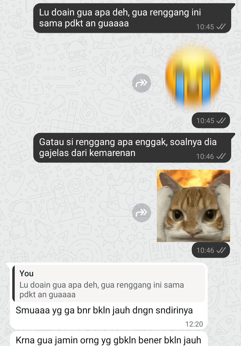 insisilwetrust's tweet photo. Pucing ah https://t.co/rgsYkcUyeT