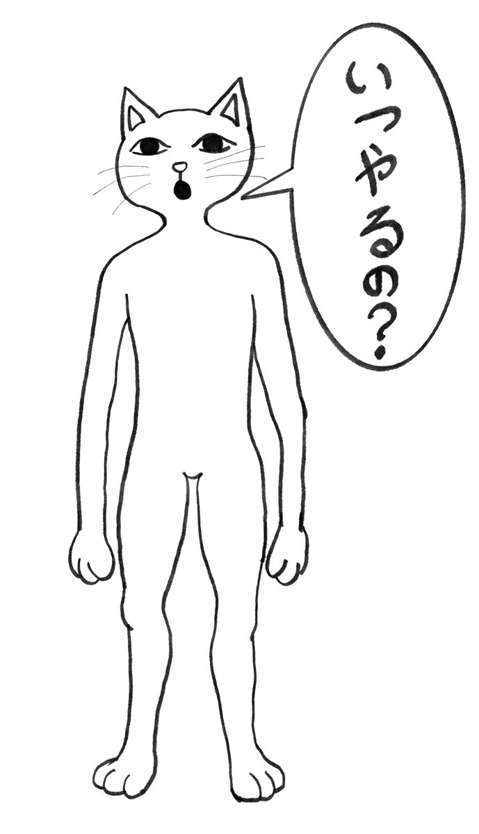 Shu_Mashima's tweet photo. 煽り猫 https://t.co/OvKRfy4pcq