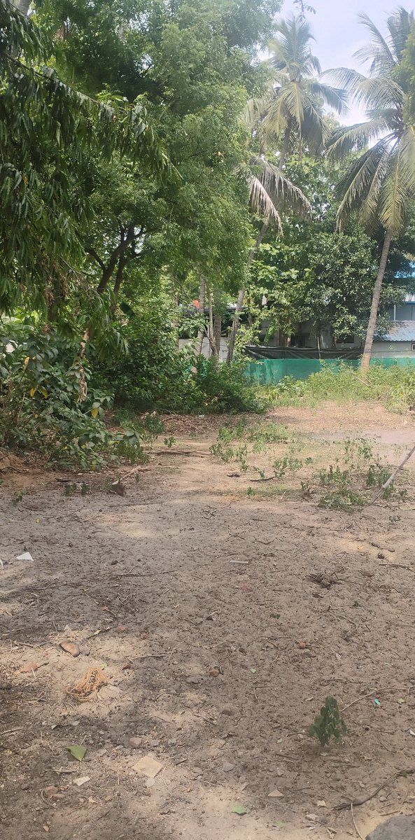 XSandy369's tweet photo. Thank you for this opportunity,Benny! I dream of starting a poultry farm on my land,but can't save enough working part-time at a juice shop during college.This $1,000 gets my dream going.Right now I just have $3k in debt and a solid planof poultry farm to pay it off (pls tag him) https://t.co/xyUzB2zRKF