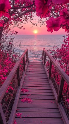 AilinCarp's tweet photo. Walking toward the sunset along a pink-bloomed boardwalk
kcm https://t.co/BPwArgdjBi
