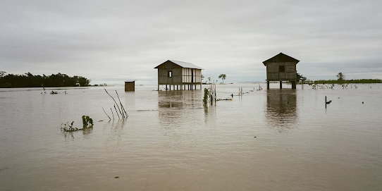 MagnaCartaPol's tweet photo. 🇮🇳When the Brahmaputra Rises, It Washes Away More Than Homes.

Read more: 👇👇
https://t.co/tLAArLmkBy

#Flood #India #WorldNews #Assam #Monsoon https://t.co/TrlOCuvNi8