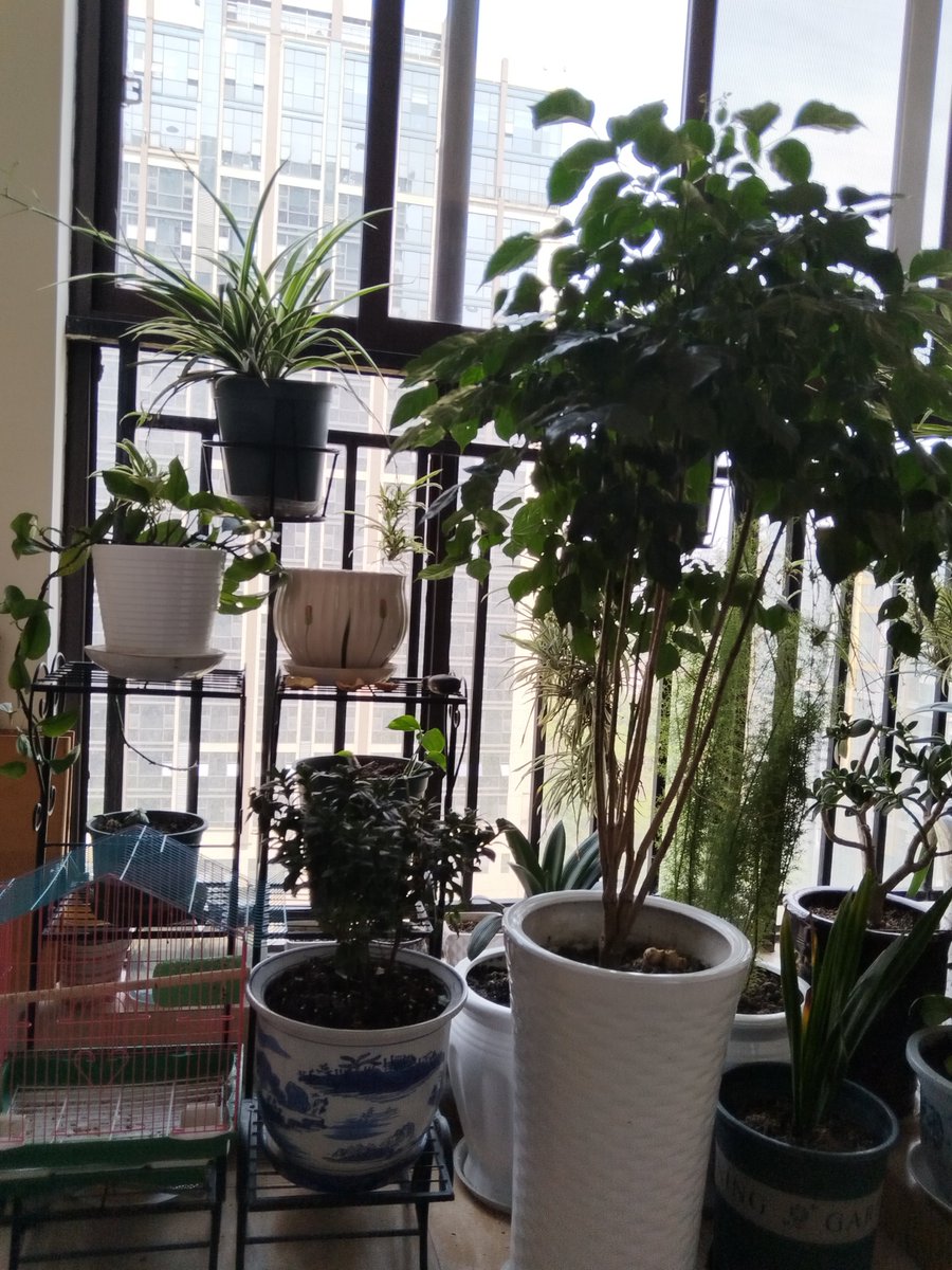 AprylHodabqmw's tweet photo. Growth isn’t about becoming someone new—it’s about unlearning the parts that held you back, one small choice at a time. https://t.co/LlBwMlmqWW