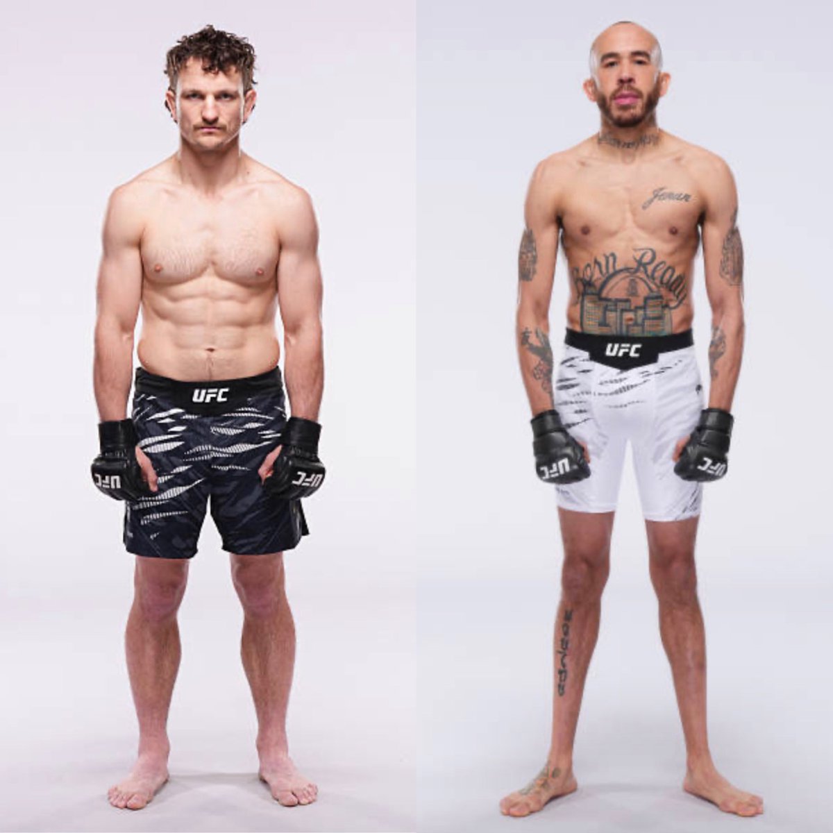 MMA Orbit tweet media